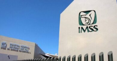 Pensiones IMSS