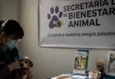 Secretaría de Bienestar animal en Querétaro